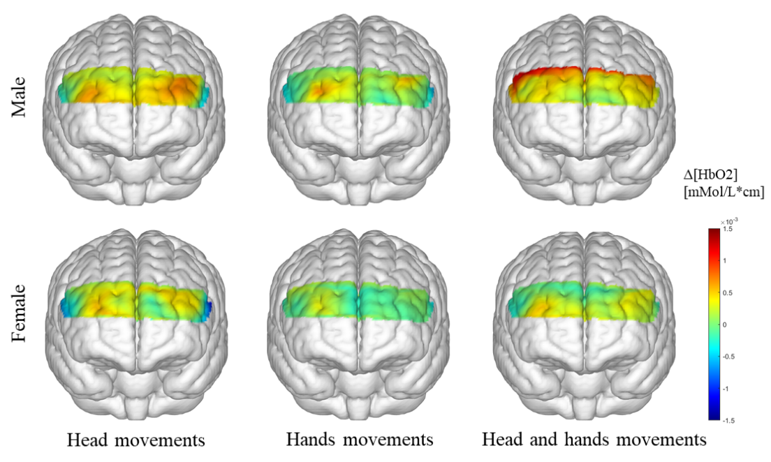 Cerebral activation results for educational robot feedback study